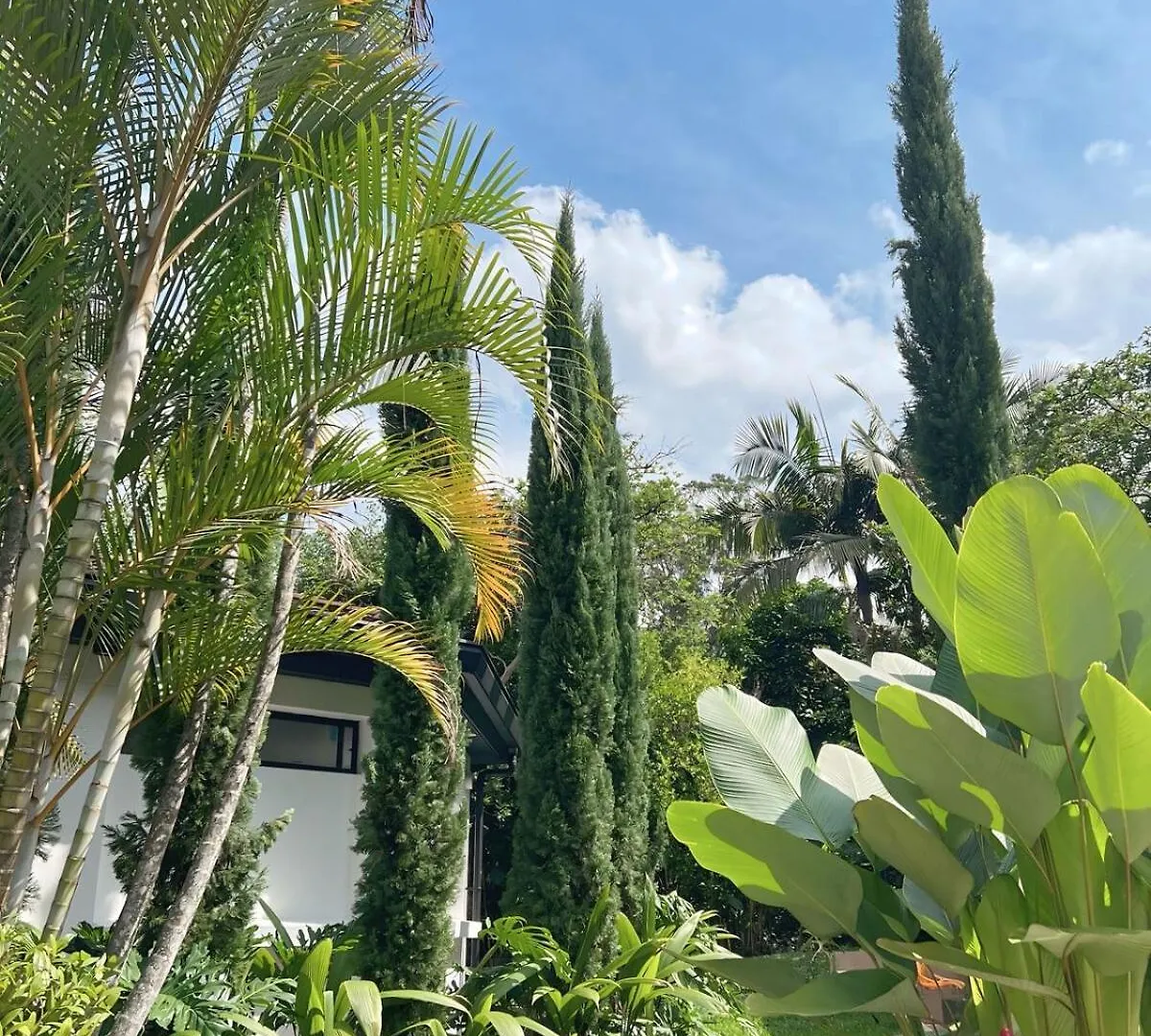 Breathtaking 6Br Private Paradise In Poblado Mde Medellin 0*,  Colombia